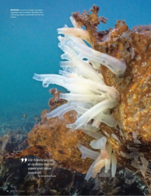 aftenposten_mat-20251217_000_00_00_054.pdf