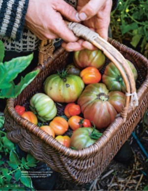 aftenposten_mat-20260114_000_00_00_010.pdf