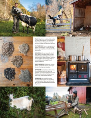 aftenposten_mat-20260114_000_00_00_016.pdf