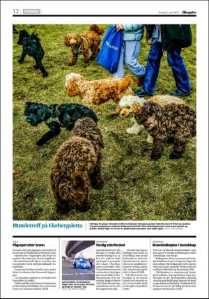 aftenposten_morgen-20170409_000_00_00_012.pdf
