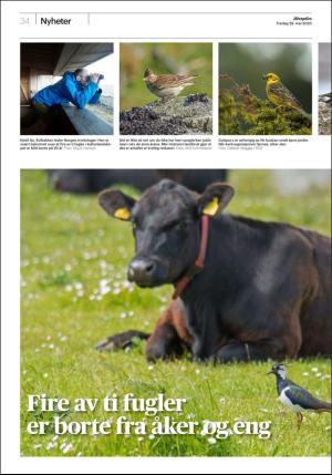 aftenposten_morgen-20200529_000_00_00_034.pdf