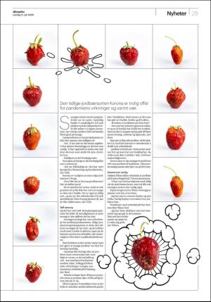 aftenposten_morgen-20200711_000_00_00_029.pdf