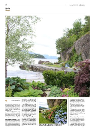 aftenposten_morgen-20220725_000_00_00_018.pdf