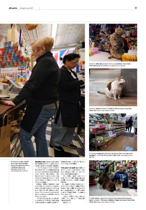 aftenposten_morgen-20250523_000_00_00_037.pdf
