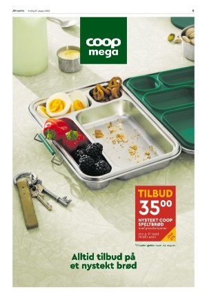 aftenposten_morgen-20250815_000_00_00_005.pdf