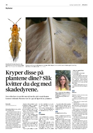 aftenposten_morgen-20251101_000_00_00_034.pdf aftenposten_morgen-20251101_000_00_00_034.pdf