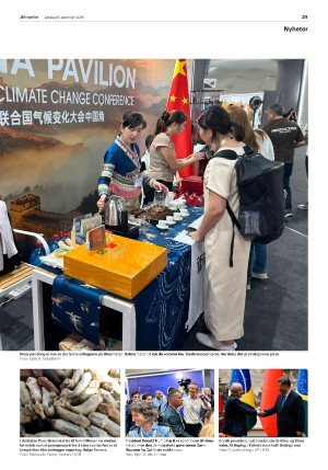 aftenposten_morgen-20251115_000_00_00_029.pdf