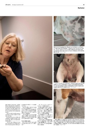 aftenposten_morgen-20251125_000_00_00_011.pdf