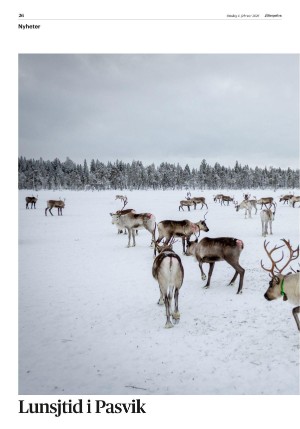 aftenposten_morgen-20260204_000_00_00_026.pdf