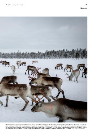 aftenposten_morgen-20260204_000_00_00_027.pdf