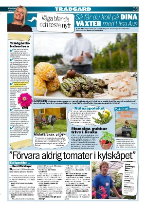 aftonbladet-20210605_000_00_00_035.pdf
