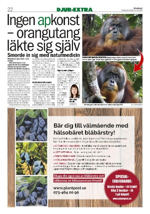 aftonbladet-20240504_000_00_00_022.pdf