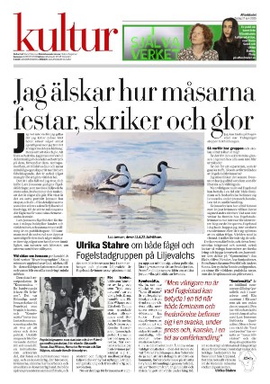 aftonbladet-20250617_000_00_00_004.pdf
