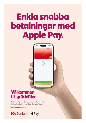 aftonbladet-20251118_000_00_00_003.pdf