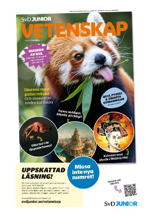 aftonbladet-20251203_000_00_00_011.pdf