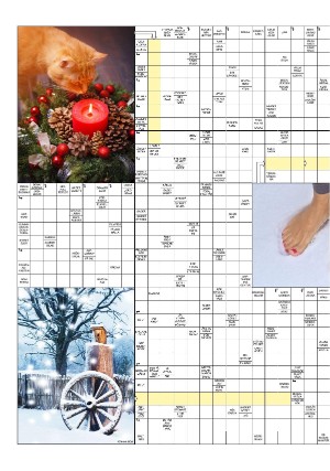 aftonbladet_3x-20201229_000_00_00_020.pdf