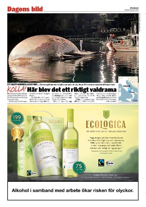 aftonbladet_3x-20210122_000_00_00_028.pdf