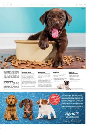 aftonbladet_3x_bilaga-20180620_000_00_00_005.pdf