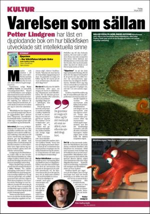aftonbladet_5pluss-20200724_000_00_00_008.pdf