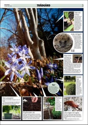aftonbladet_bilaga-20180401_000_00_00_003.pdf