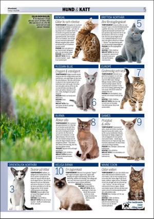 aftonbladet_bilaga-20180501_000_00_00_005.pdf