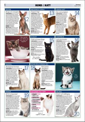 aftonbladet_bilaga-20180501_000_00_00_006.pdf