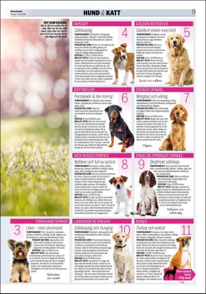 aftonbladet_bilaga-20180501_000_00_00_009.pdf