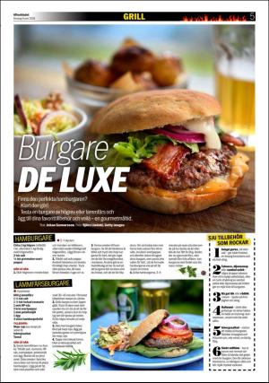 aftonbladet_bilaga-20180606_000_00_00_005.pdf