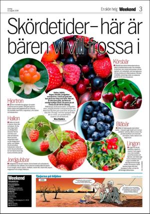 aftonbladet_bilaga-20180811_000_00_00_003.pdf