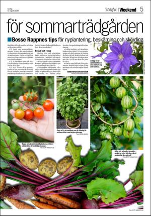 aftonbladet_bilaga-20180811_000_00_00_005.pdf