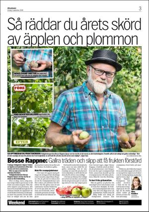 aftonbladet_bilaga-20180901_000_00_00_003.pdf