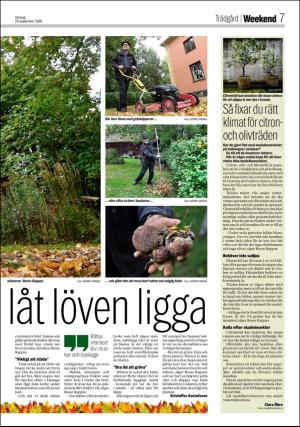 aftonbladet_bilaga-20180923_000_00_00_007.pdf