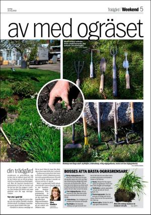 aftonbladet_bilaga-20190525_000_00_00_005.pdf