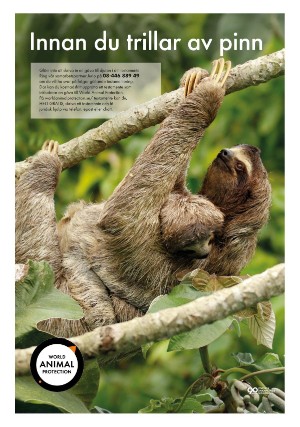 aftonbladet_bilaga-20251030_000_00_00_009.pdf aftonbladet_bilaga-20251030_000_00_00_009.pdf