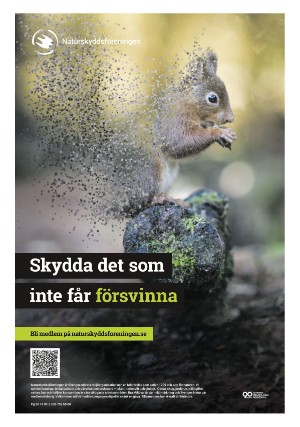 aftonbladet_bladet-20251031_000_00_00_016.pdf