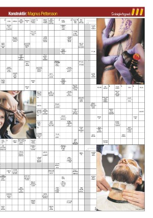 aftonbladet_bladet-20260131_000_00_00_009.pdf