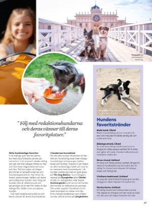aftonbladet_bruce2023-20250423_000_00_00_097.pdf