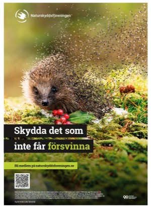 aftonbladet_bruce2023-20250425_000_00_00_099.pdf