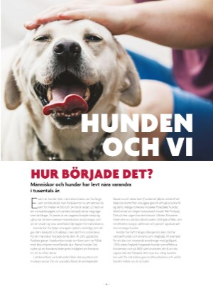 aftonbladet_bruce2023-20250510_000_00_00_004.pdf