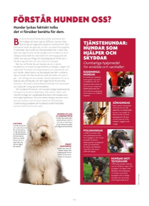 aftonbladet_bruce2023-20250510_000_00_00_007.pdf