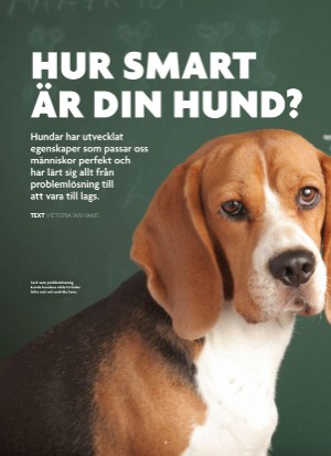 aftonbladet_bruce2023-20250510_000_00_00_008.pdf