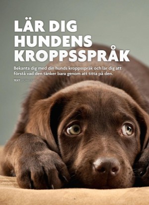 aftonbladet_bruce2023-20250510_000_00_00_012.pdf