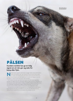 aftonbladet_bruce2023-20250510_000_00_00_016.pdf