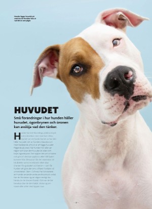 aftonbladet_bruce2023-20250510_000_00_00_017.pdf