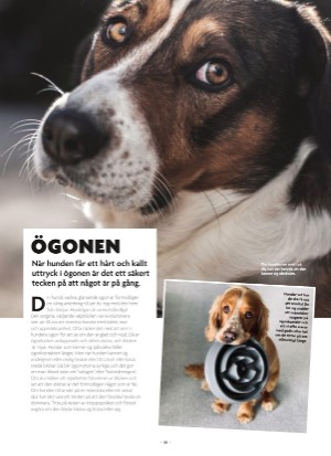 aftonbladet_bruce2023-20250510_000_00_00_018.pdf
