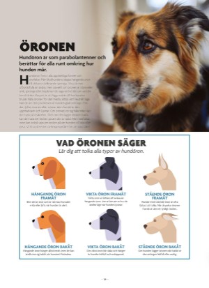 aftonbladet_bruce2023-20250510_000_00_00_019.pdf