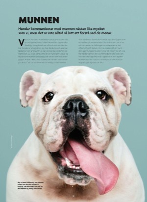 aftonbladet_bruce2023-20250510_000_00_00_022.pdf