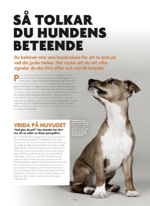 aftonbladet_bruce2023-20250510_000_00_00_026.pdf