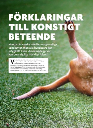 aftonbladet_bruce2023-20250510_000_00_00_034.pdf
