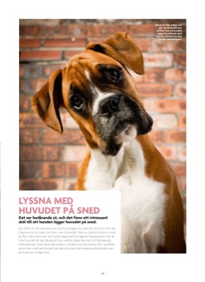 aftonbladet_bruce2023-20250510_000_00_00_037.pdf